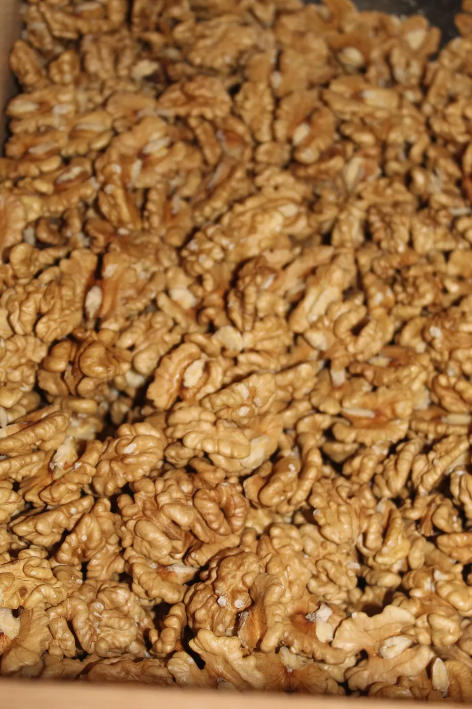 Nueces