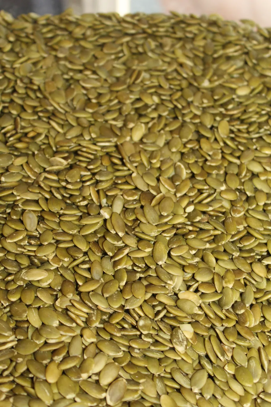 Pepitas de zapallo