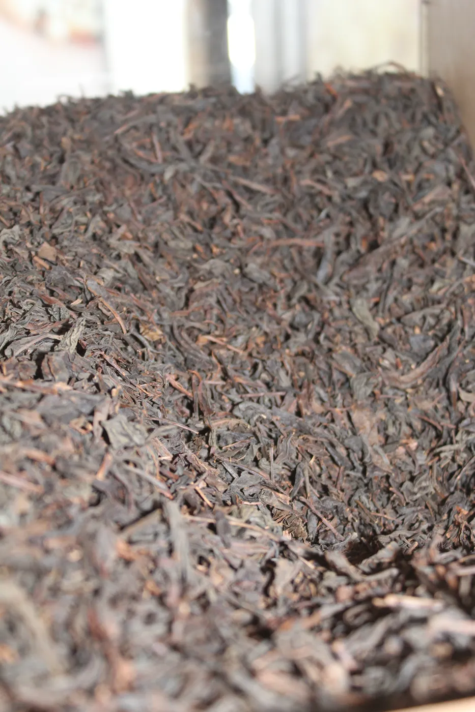 Té negro